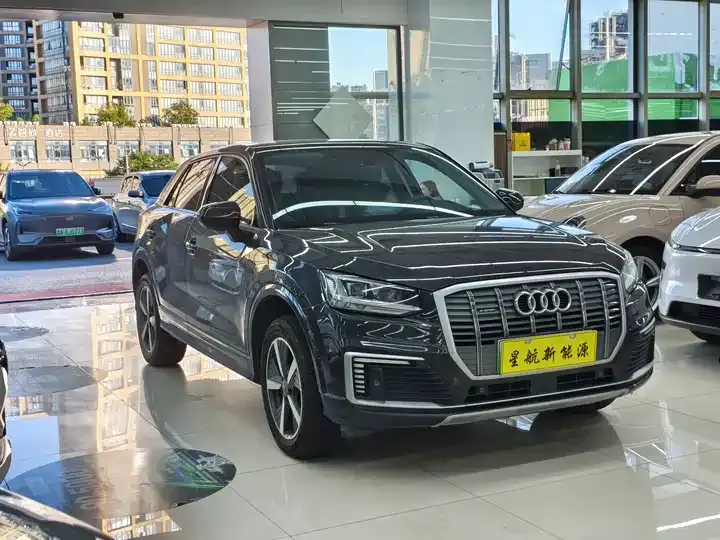 Audi Q2L e-tron 2019 Q2L e-tron Pure Electric Intelligence 2