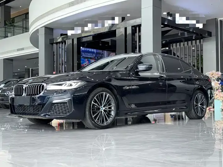 Open image lightbox: BMW 5 Series 2021 530Li Leading M Sports Suit