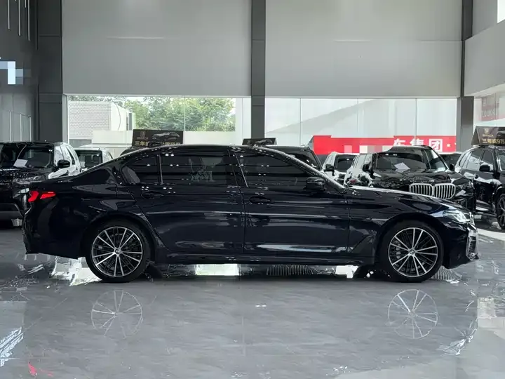 BMW 5 Series 2021 530Li Leading M Sports Suit 3