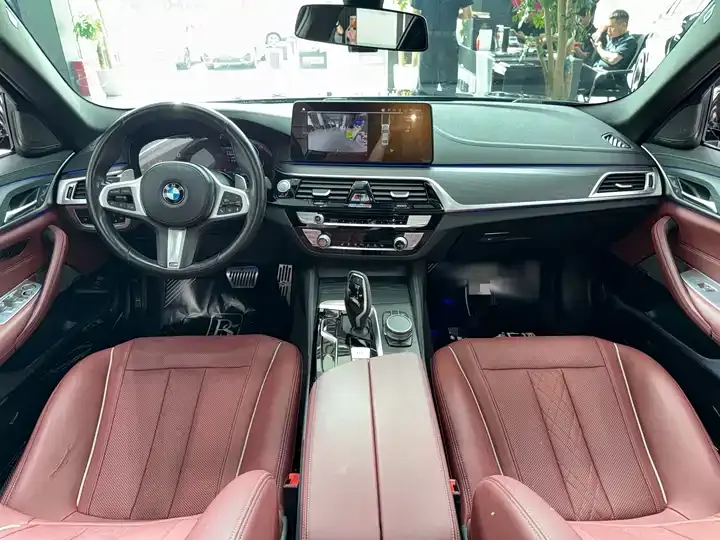 BMW 5 Series 2021 530Li Leading M Sports Suit 5