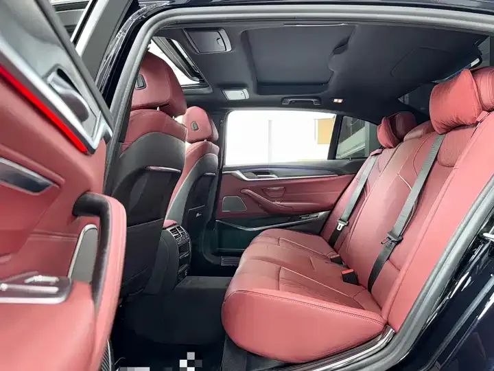 BMW 5 Series 2021 530Li Leading M Sports Suit 6