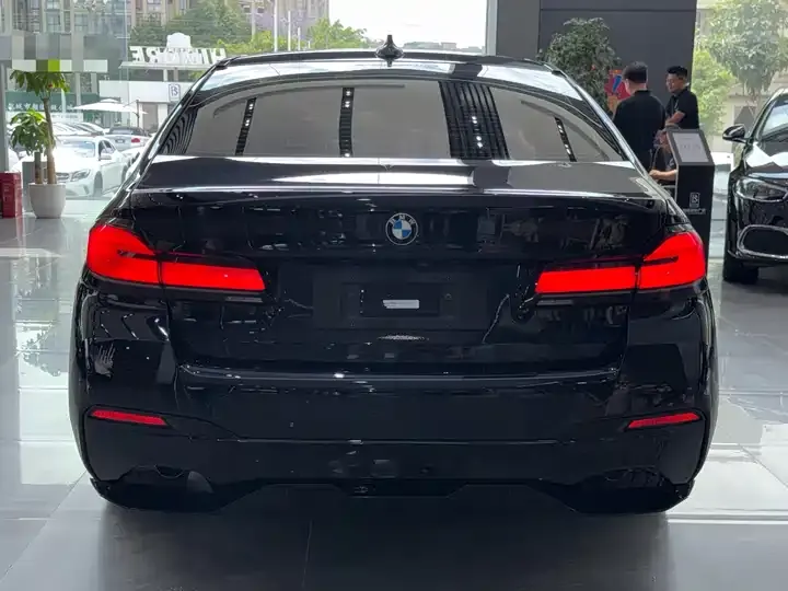 BMW 5 Series 2021 530Li Leading M Sports Suit 8