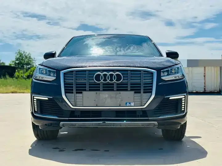 Audi Q2L e-tron 2019 Q2L e-tron Pure Electric Intelligence 2