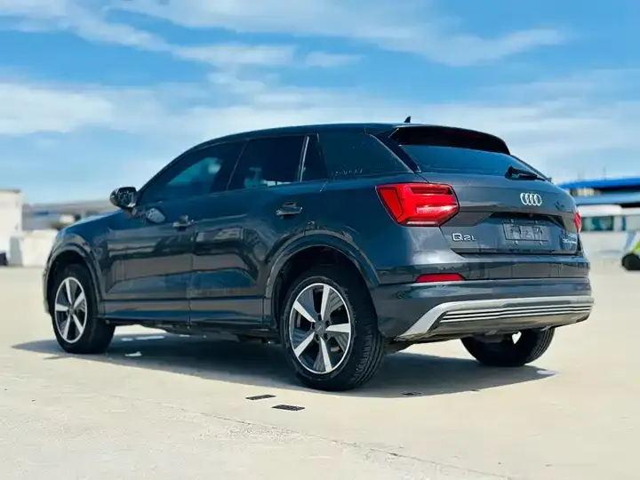Audi Q2L e-tron 2019 Q2L e-tron Pure Electric Intelligence 5