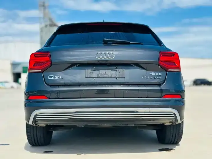 Audi Q2L e-tron 2019 Q2L e-tron Pure Electric Intelligence 6