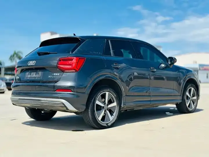 Audi Q2L e-tron 2019 Q2L e-tron Pure Electric Intelligence 7
