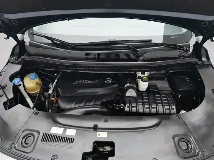 GAC Trumpchi M8 2021 Model Prestige Series 390T Supreme Edition 6