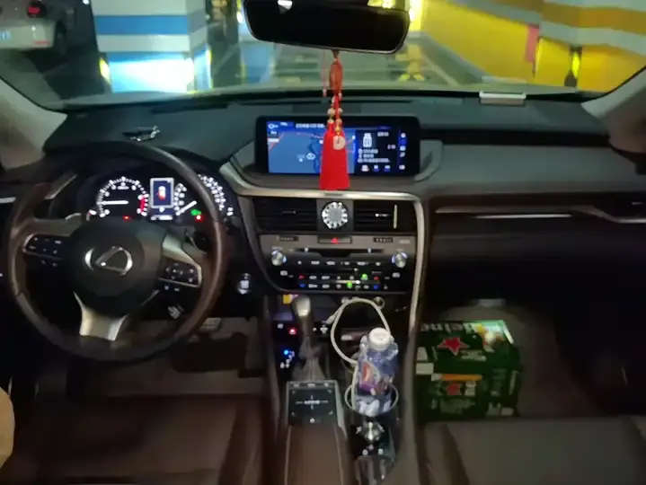 Lexus RX 2021 300 4WD Special Edition 12
