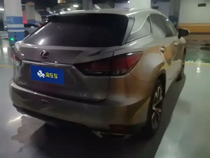 Lexus RX 2021 300 4WD Special Edition 3