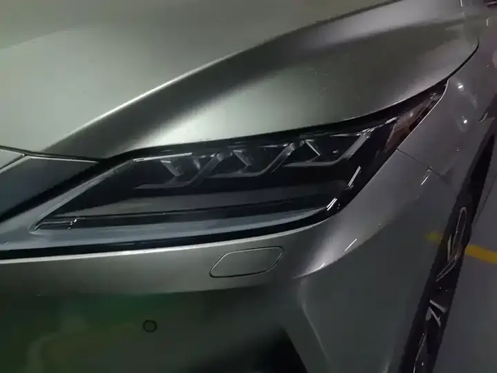 Lexus RX 2021 300 4WD Special Edition 5