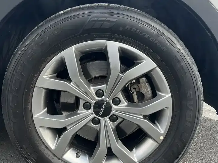 Haval H6 2021 National Tide Edition 1.5T Auto Champion Edition 10