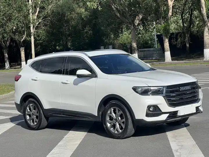Haval H6 2021 National Tide Edition 1.5T Auto Champion Edition 2
