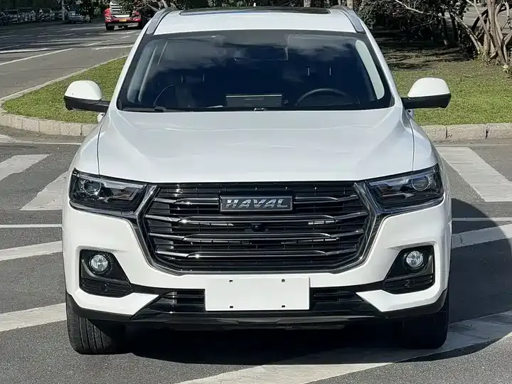 Haval H6 2021 National Tide Edition 1.5T Auto Champion Edition 3