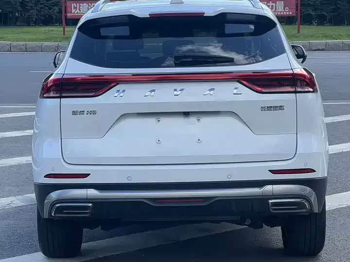 Haval H6 2021 National Tide Edition 1.5T Auto Champion Edition 4