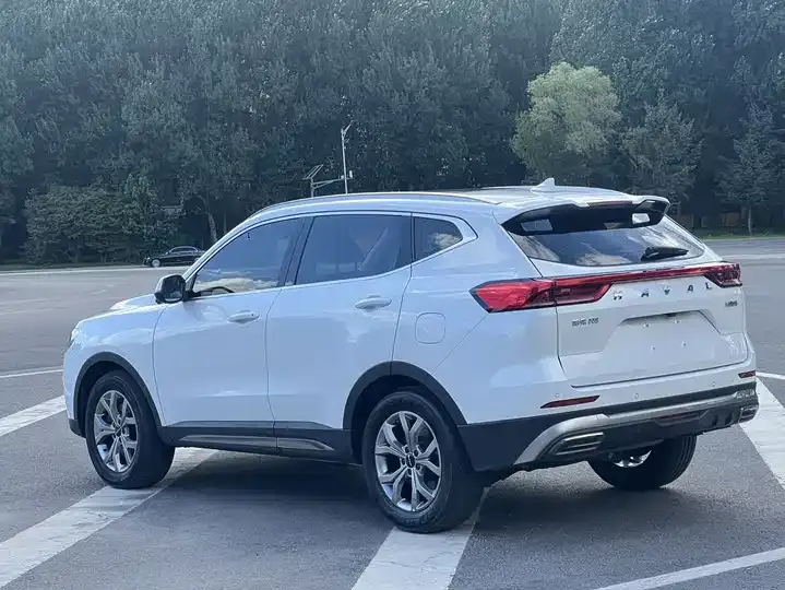 Haval H6 2021 National Tide Edition 1.5T Auto Champion Edition 5