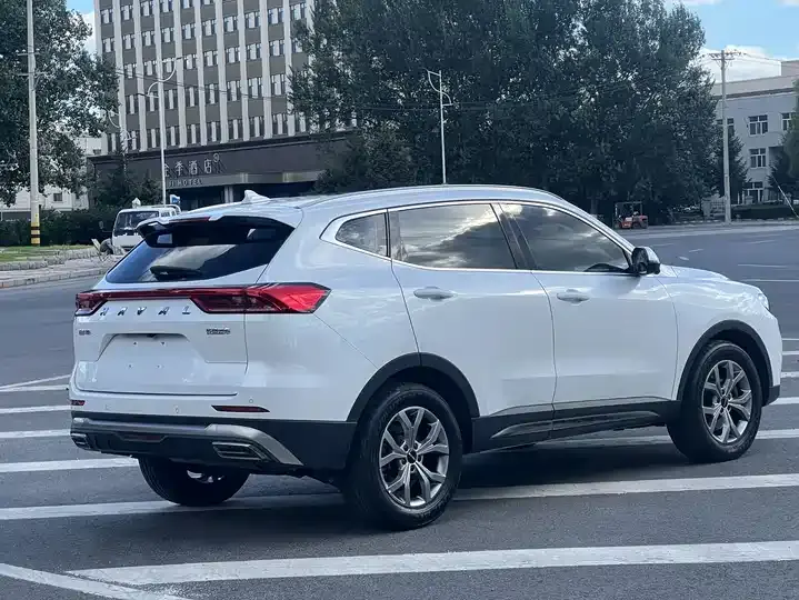 Haval H6 2021 National Tide Edition 1.5T Auto Champion Edition 6
