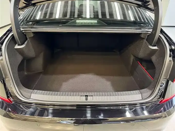 Passat 2025 outstanding 330TSI Elite Edition 12