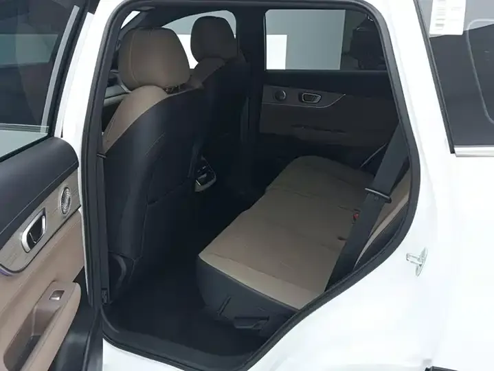 Ruihu 8 PLUS 2025 290TGDI DCT Premium Edition 11