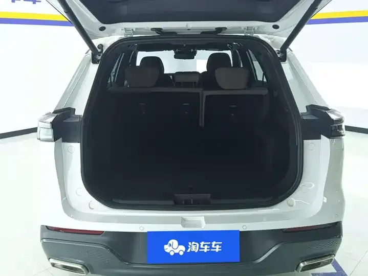Ruihu 8 PLUS 2025 290TGDI DCT Premium Edition 4