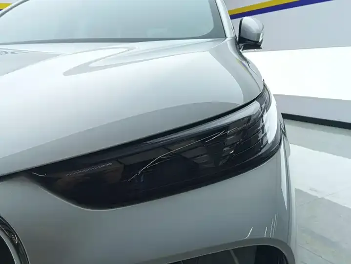 Ruihu 8 PLUS 2025 290TGDI DCT Premium Edition 5