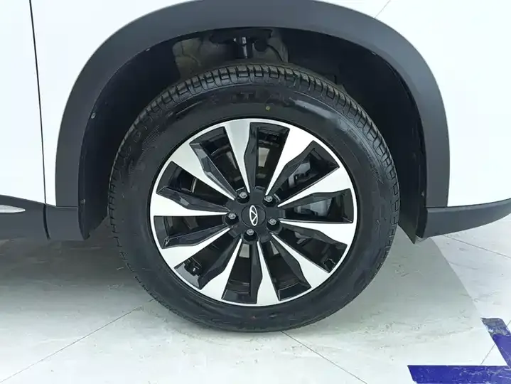 Ruihu 8 PLUS 2025 290TGDI DCT Premium Edition 6