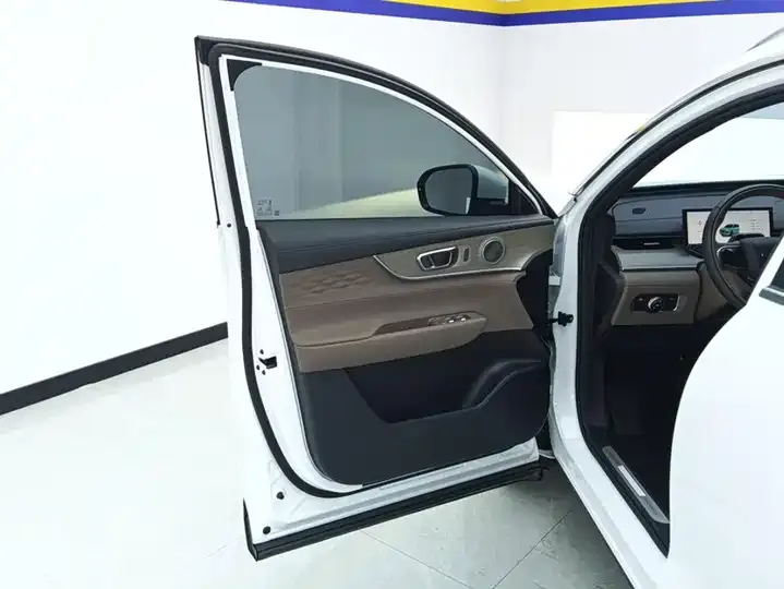 Ruihu 8 PLUS 2025 290TGDI DCT Premium Edition 7