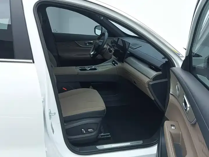 Ruihu 8 PLUS 2025 290TGDI DCT Premium Edition 8