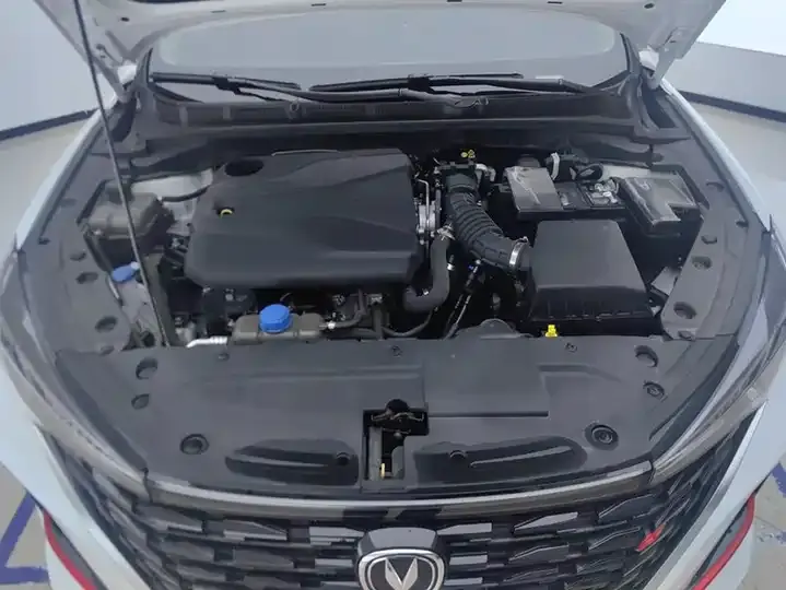 Eado 2024 PLUS, Blue Whale NE 1.4T GDI DCT High-Power Version 10
