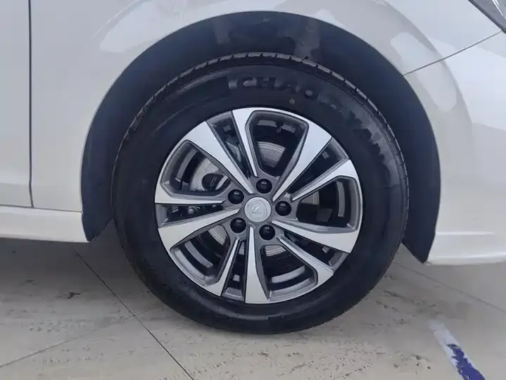 Eado 2024 PLUS, Blue Whale NE 1.4T GDI DCT High-Power Version 6