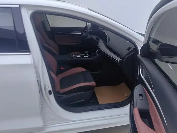 Eado 2024 PLUS, Blue Whale NE 1.4T GDI DCT High-Power Version 8