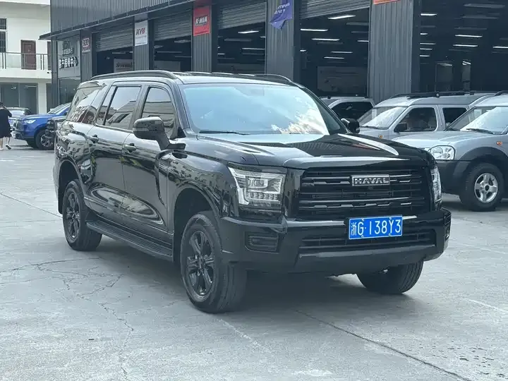 Haval H5 2025 2.0T Automatic Four-wheel Drive Leading Edition Gasoline 3