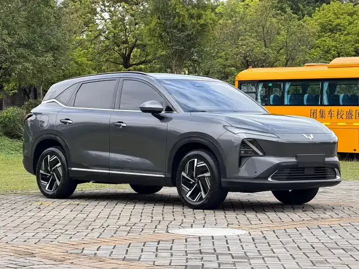 WuLing Starlight S 2024 130km Flagship 3