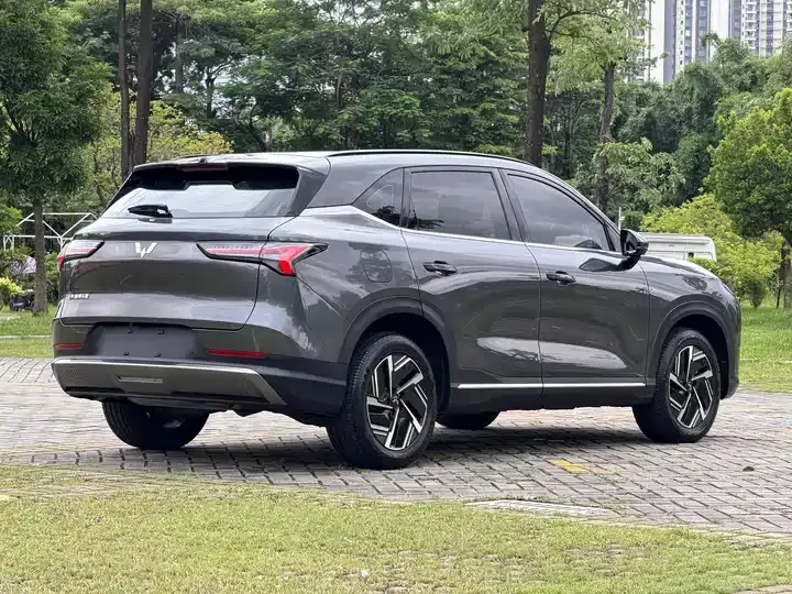 WuLing Starlight S 2024 130km Flagship 6