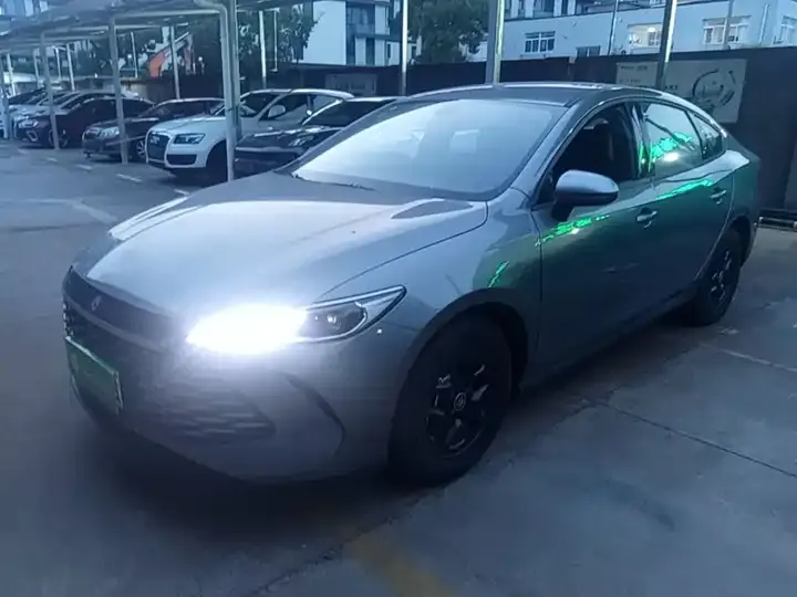 Qin PLUS 2025 DM-i Smart Driving Edition 55KM Leading Model - View 1