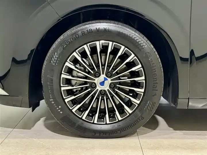 Denza D9 2024 DM-i 980 4-wheel drive Honor Model 9
