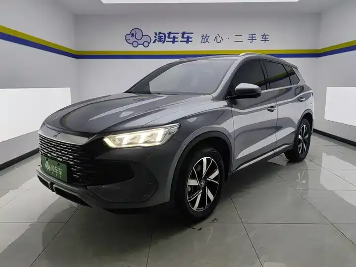 Song Pro New Energy 2024 Glory Edition DM-i 71KM Pilot - View 1