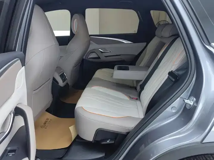 Song Pro New Energy 2024 Glory Edition DM-i 71KM Pilot 11