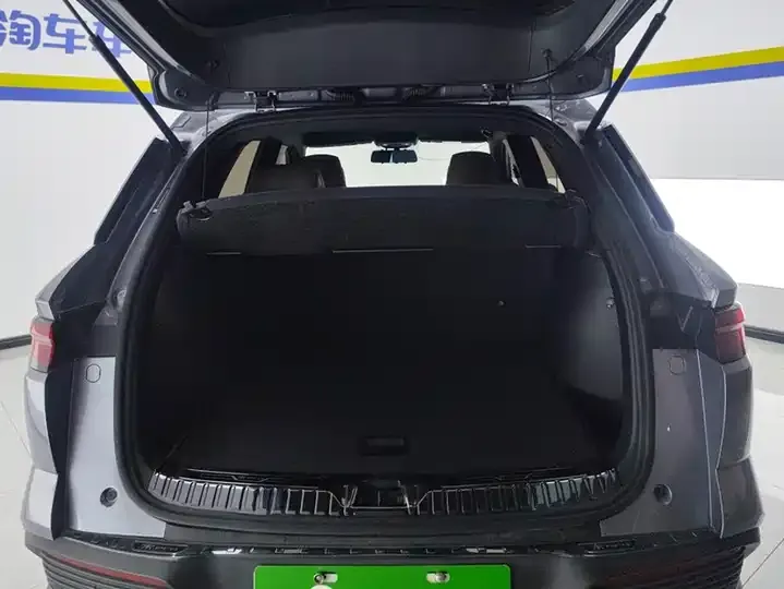 Song Pro New Energy 2024 Glory Edition DM-i 71KM Pilot 4