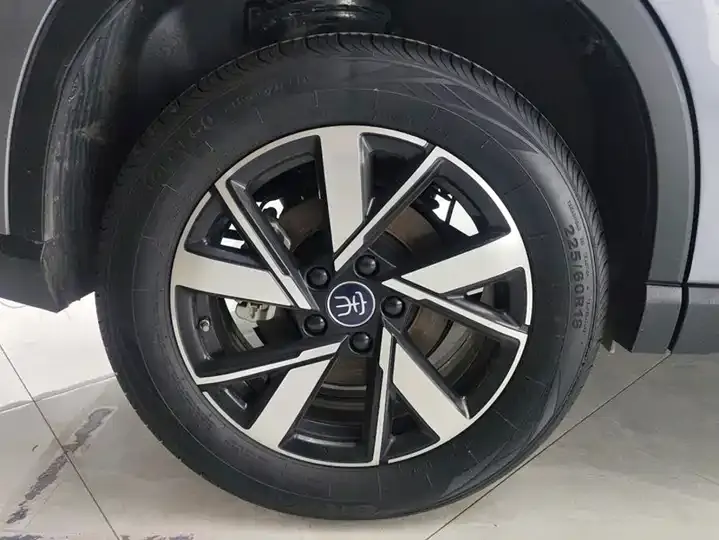 Song Pro New Energy 2024 Glory Edition DM-i 71KM Pilot 6