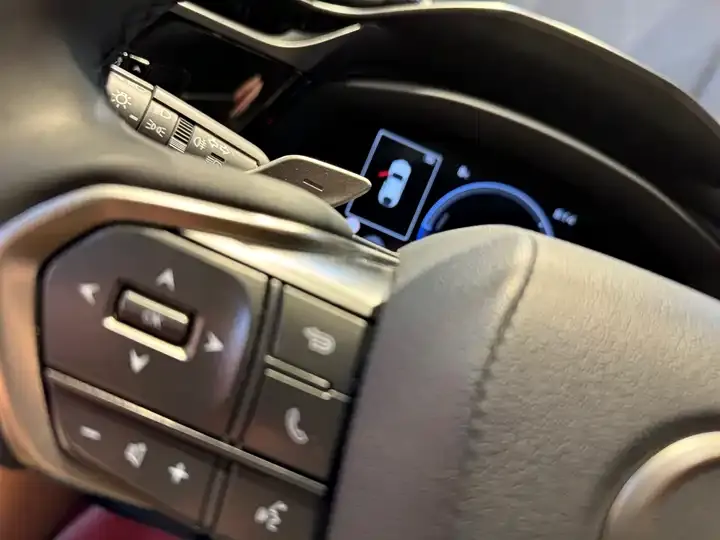 Lexus RZ 2023 450e 4WD Vertical Edition 10