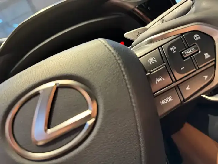 Lexus RZ 2023 450e 4WD Vertical Edition 8