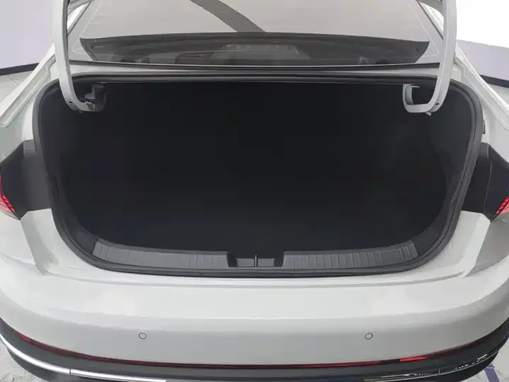 Sagittarius 2024 300TSI DSG Flying Edition 4