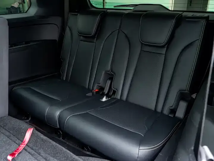 Chuanqi GS8 2022 Pilot Series 2.0TGDI Two-Drive Premium Edition (Seven Seat) 11