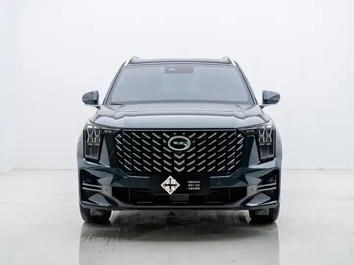 Chuanqi GS8 2022 Pilot Series 2.0TGDI Two-Drive Premium Edition (Seven Seat) 2