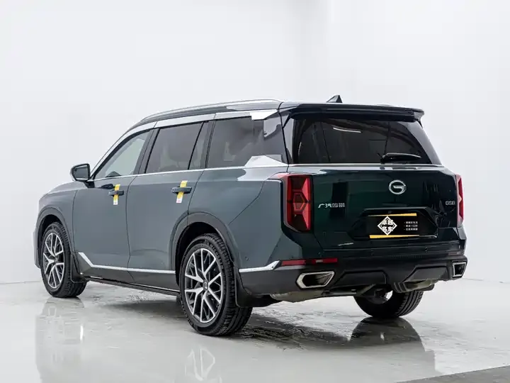 Chuanqi GS8 2022 Pilot Series 2.0TGDI Two-Drive Premium Edition (Seven Seat) 7