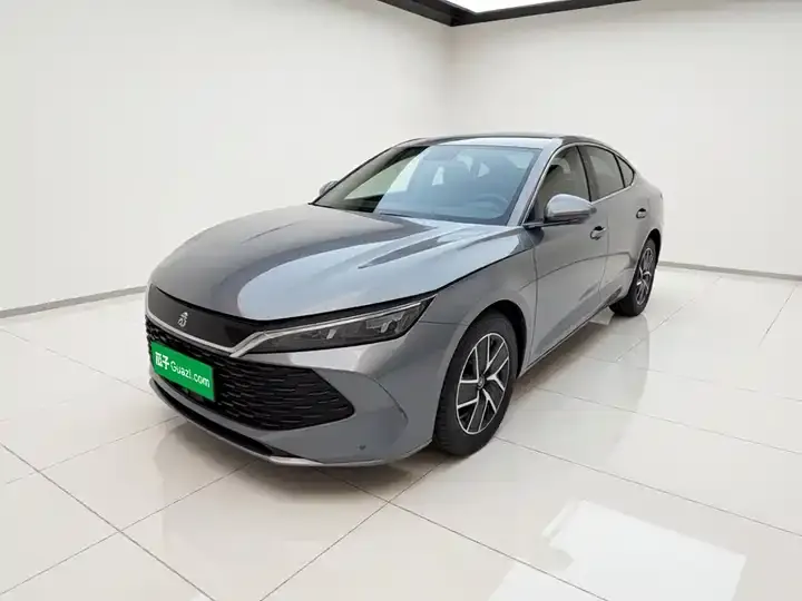 Qin L 2024 DM-i 80KM Exceed - View 1