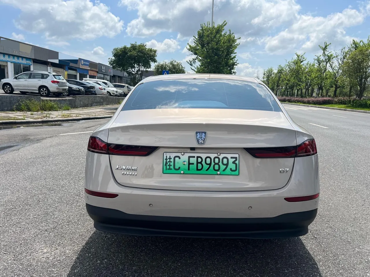 Roewe 2025 D7 DMH 1.5 World Championship Edition Automatic Gear 5