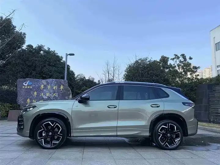 Tanyue 2025 Tanyue L 380TSI 4-wheel Drive Luxury Easy Bag 5