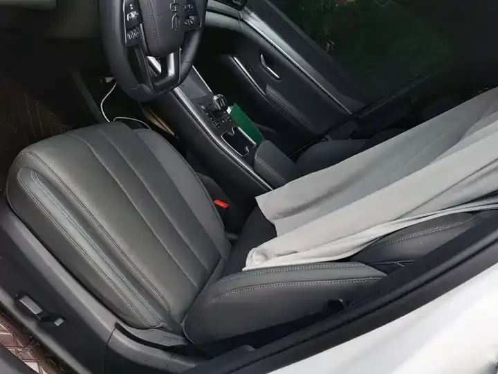 Song Pro New Energy 2025 Second Generation Smart Driving Edition DM-i 75KM Leading Type 12