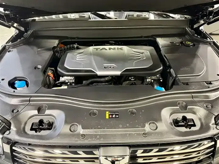 Tank 700 New Energy 2024 Hi4-T Extreme Edition 11